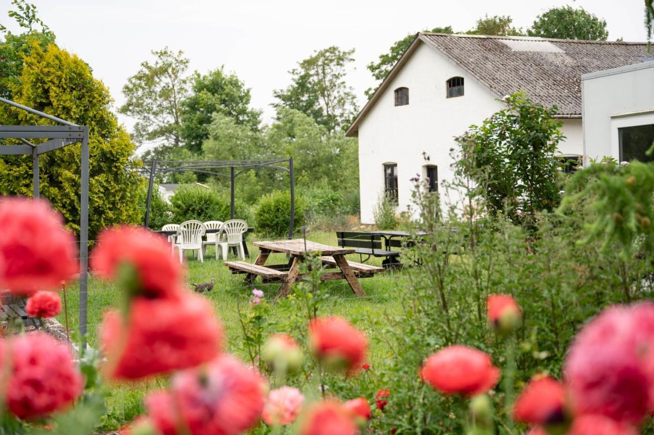 Bed and Breakfast Skortskaer Bondegardsferie Havnsø Esterno foto