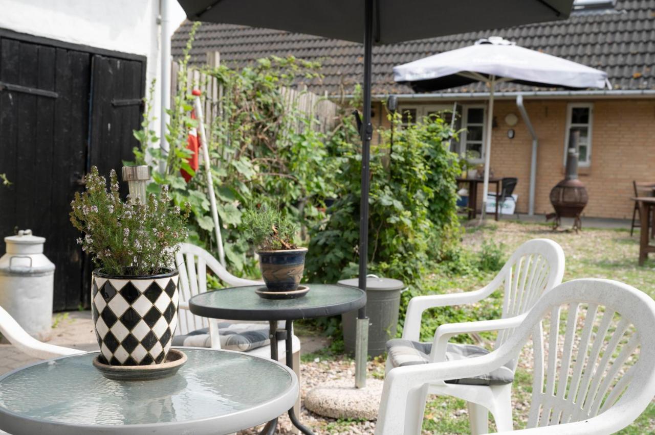 Bed and Breakfast Skortskaer Bondegardsferie Havnsø Esterno foto